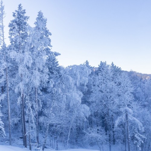 Отпуск на Алтае в мини-группе: релакс в глэмпинге, дегустация на пасеке и лёгкий экстрим
