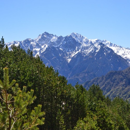 Треккинг в Цейском ущелье налегке с проживанием в гостинице (всё включено)
