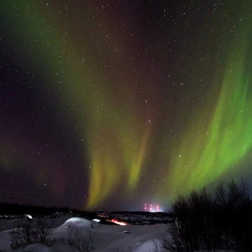 Вкус Арктики: Мурманск, Териберка и этнодеревня в мини-группе