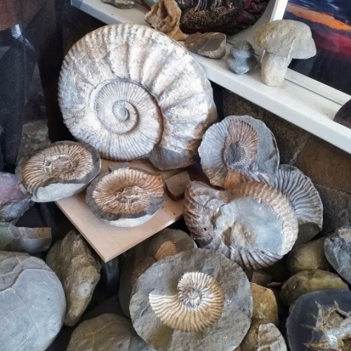 Адыгея для всей семьи: прогулки, мастер-классы и водные процедуры