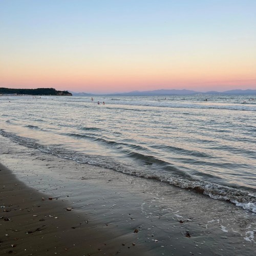 Тигры, море, шашлычок