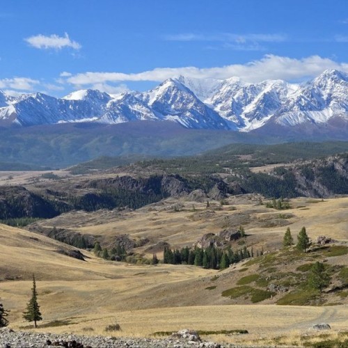 Автотур в мини-группе по знаковым локациям Алтая в период цветения маральника