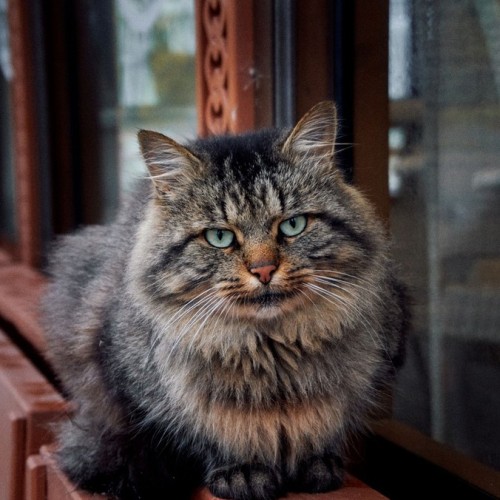 Ваше персональное путешествие во времени: Калининград, курорты, замки