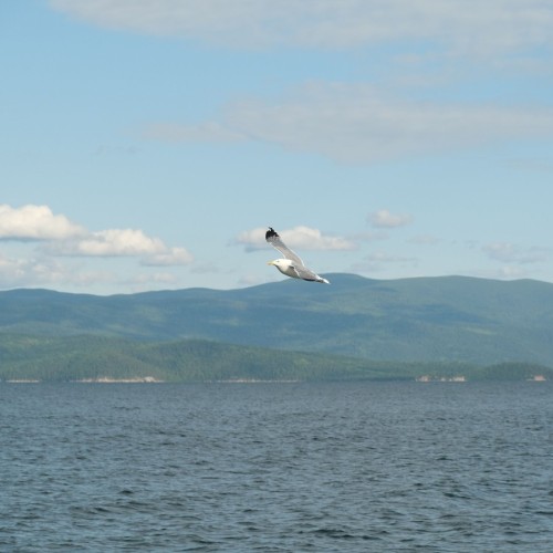 Макси-тур по Байкалу: водные круизы, лёгкий треккинг и экскурсии по знаковым местам