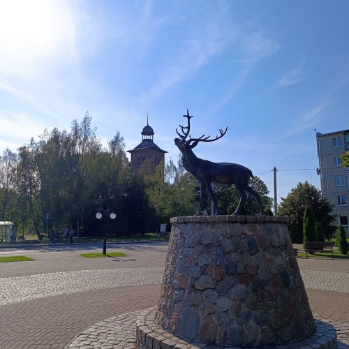 Встречай, янтарный край: индивидуальное путешествие по городам Калининградской области