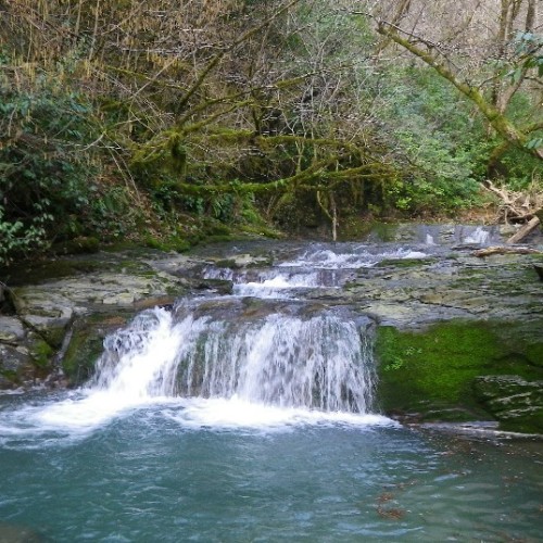 Большой тур по Сочи: природа, архитектура, история