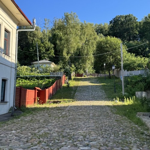 На «Фестиваль сыра», к лосям и на праздник Ивана Купалы: автобусный мини-тур в Кострому и Плёс