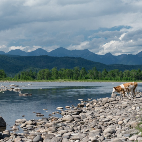 Сокровища Восточной Сибири: Иркутск, Аршан, Тункинская долина и Ольхон
