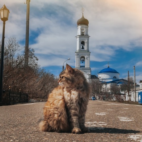 Свияжск, Раифский монастырь и Храм всех религий (туда на автобусе, обратно на теплоходе)