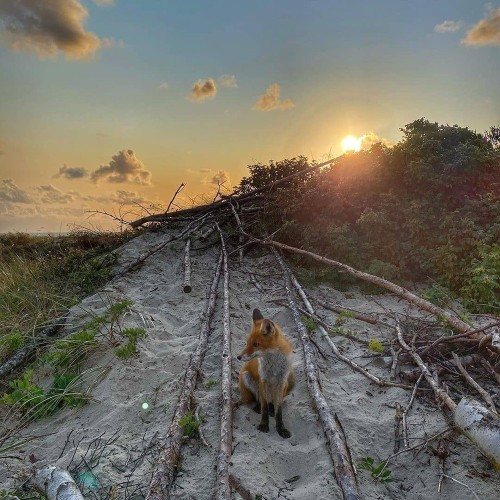 Своей компанией от Балтийска до Куршской косы с прогулками по Калининграду