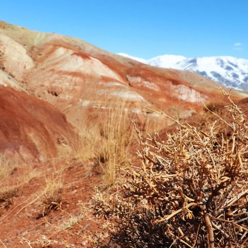 На Алтай за чудесами, энергией и видами (в сборной мини-группе)