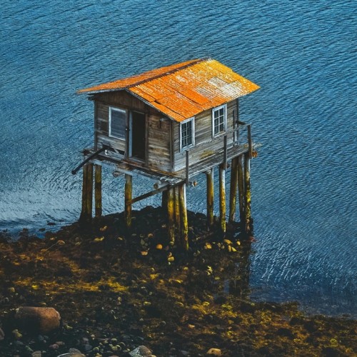 За атмосферой Арктики: тур из Мурманска в Териберку с дегустацией и прогулками по главным местам