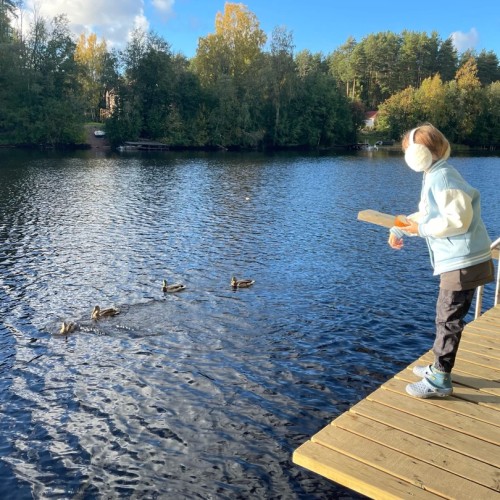 Перезагрузка в Приладожье с йогой, баней, сибирским чаном и сапами (всё включено)