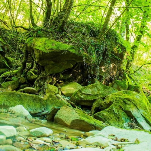 Запах разнотравья и никого вокруг: поход с рюкзаками по долине реки Пшада (всё включено)