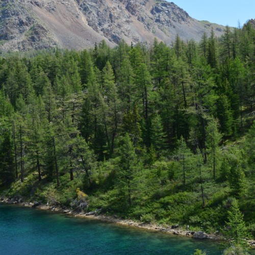 Знакомство с Алтаем своей компанией: снежные вершины, кристальные озёра и заповедные тропы