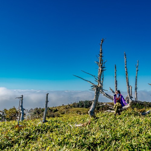 Почувствуй край земли: магия дальних островов Кунашир и Шикотан в мини-группе
