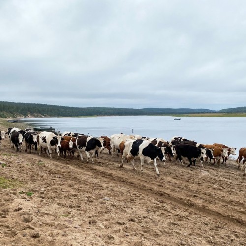 Экстремальная экспедиция на вездеходах: 1000 км вдоль Баренцева и Белого морей (всё включено)