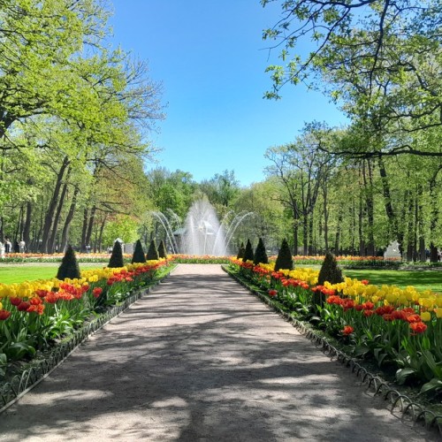 Побывать в Петергофе — с индивидуальной экскурсией