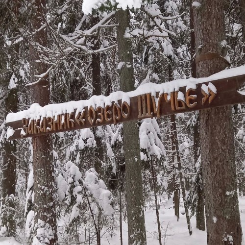 Из Петербурга в Комарово: обитель муз и гениев (в уютной мини группе)