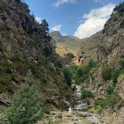 Персональная поездка по Дигории: природа и отдых в термальных источниках