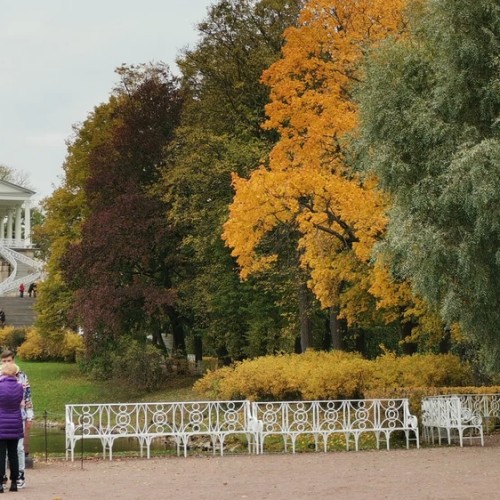 Наедине с Царским Селом: из Петербурга на автомобиле