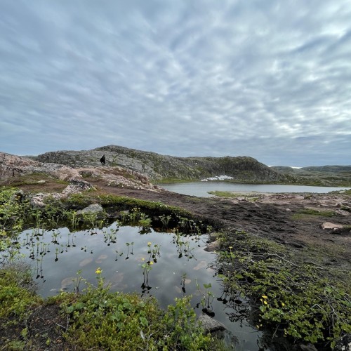 Своей компанией на Русский Север: Мурманск, Териберка, Кировск и саамы
