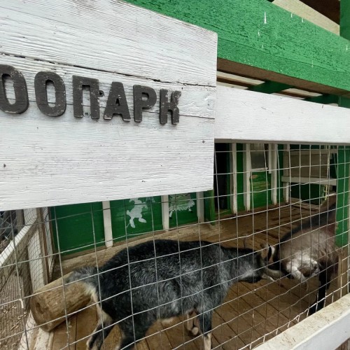 Приморский Парадиз — Сестрорецк, Репино, Комарово и Зеленогорск. Индивидуальная экскурсия