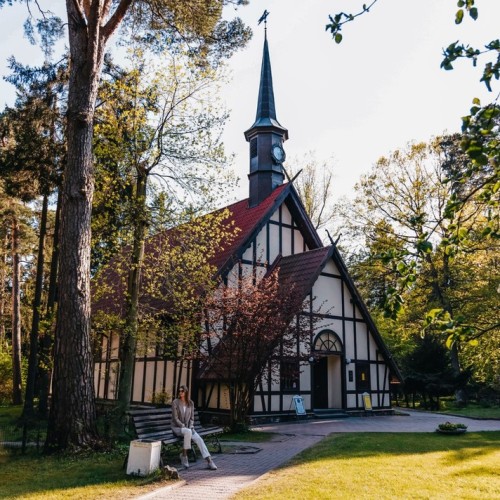 Море, котики, курорты: главное в Калининградской области