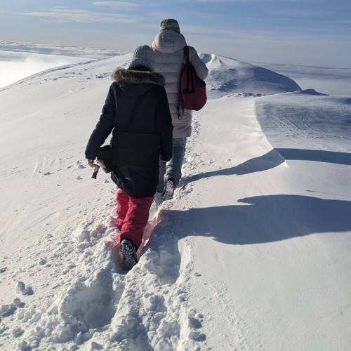 Путешествие в Арктику только для вас: Мурманск, Териберка, северное сияние и локации на ваш выбор