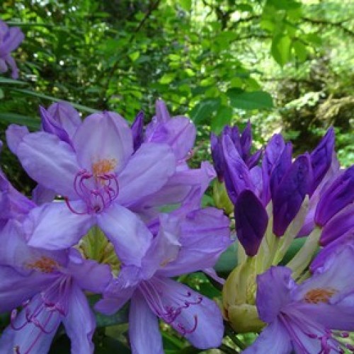 Перезагрузка в горах и на море в мини-группе