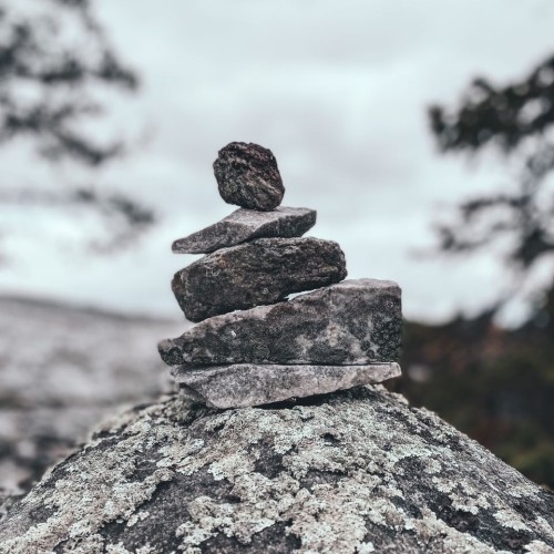 Детокс в Карелии: место силы, дары леса и походная романтика (всё включено)