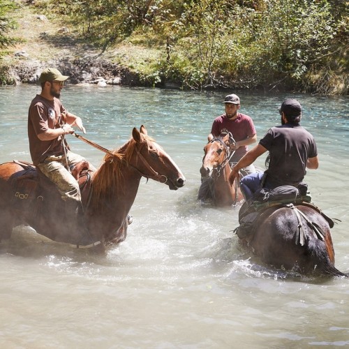 Верхом по Архызу: поездка для конников с любой подготовкой