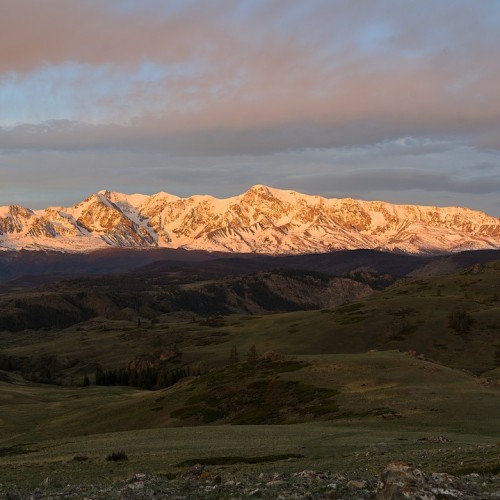 Майские на Алтае в сезон цветения маральника с ежедневными прогулками (всё включено)