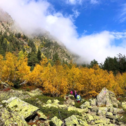 Лёгкий треккинг в горах Домбая с комфортом
