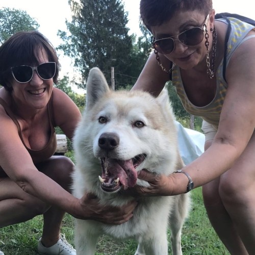 Долина водопадов и треккинг по карельскому лесу с хаски!