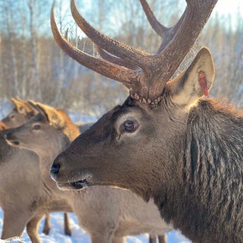 Тажераны, Малое Море и Ольхон: магия зимнего Байкала в индивидуальной поездке