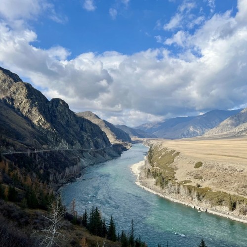 Когда Алтай оживает: цветение маральника, озёра и перевалы Чуйского тракта (мини-группа)