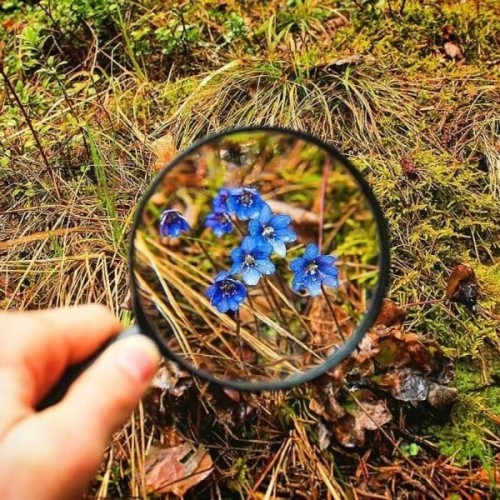 В Карелию на майские с комфортом: «Рускеала», Гирвас, Кивач и гора Сампо для всей семьи