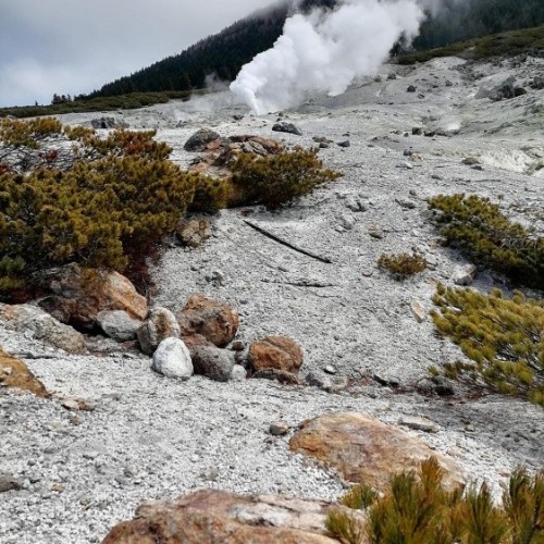 Острова с сокровищами: Сахалин, Итуруп, Кунашир
