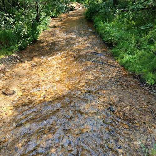«Всё включено» на Байкале: экскурсии, водная прогулка, погружение в традиции и вкуснейшая кухня