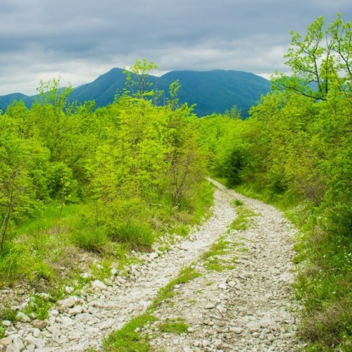Запах разнотравья и никого вокруг: поход с рюкзаками по долине реки Пшада (всё включено)