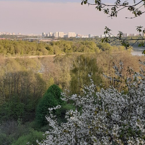 Коломенское: Старый Государев двор (в мини-группе)