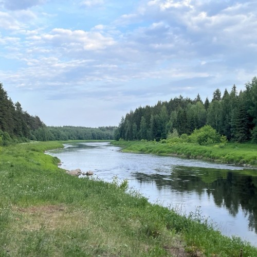 Детокс на Тверце: сплав на байдарках с посещением Торжка и «Василёво»