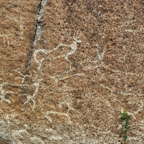 Золотой маршрут Алтая в золотую осень: индивидуальный тур