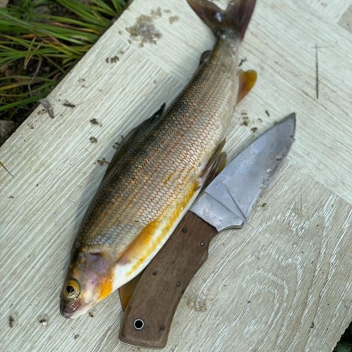 За трофеями на Байкал с местными: рыбалка с катера, катамарана и на реках