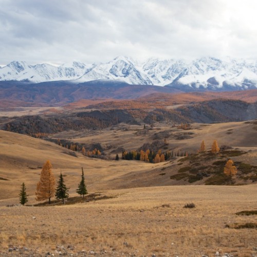 Золотые пейзажи октябрьского Алтая: Чемал, Катунь, Манжерок и Кызыл-Чин в мини-группе