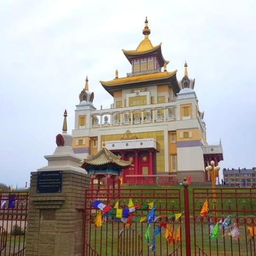 В Элисту из Волгограда на автобусе: вальс тюльпанов, этнопрограмма, мастер-классы и «Страна Бумба»