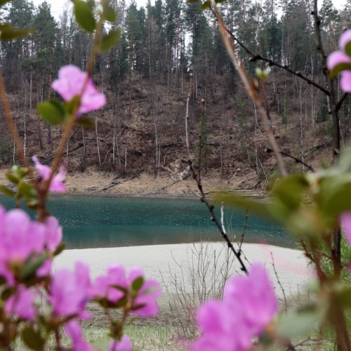 Топовые места Алтая в мини-группе: Гейзерное озеро, Чуйский тракт, долина Горных духов и Патмос