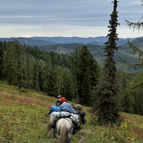 Наедине с природой Алтая: активное путешествие с конными прогулками и походом