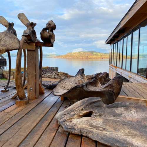 Северная перезагрузка: Мурманск, поездка в Териберку и ночь в купольном доме